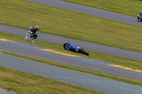 PJ-Motorsport-2019;anglesey-no-limits-trackday;anglesey-photographs;anglesey-trackday-photographs;enduro-digital-images;event-digital-images;eventdigitalimages;no-limits-trackdays;peter-wileman-photography;racing-digital-images;trac-mon;trackday-digital-images;trackday-photos;ty-croes